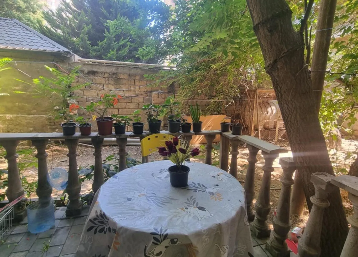 Hostel Nizami